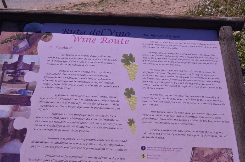 Cartel sobre la ruta del vino en la Laguna
