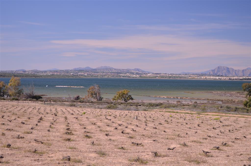 Zonas dedicadas al cultivo de la vid dentro del Parque Natural