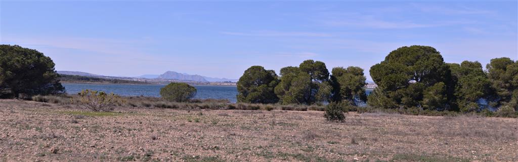 Panorámica de la laguna de La Mata (margen suroriental)