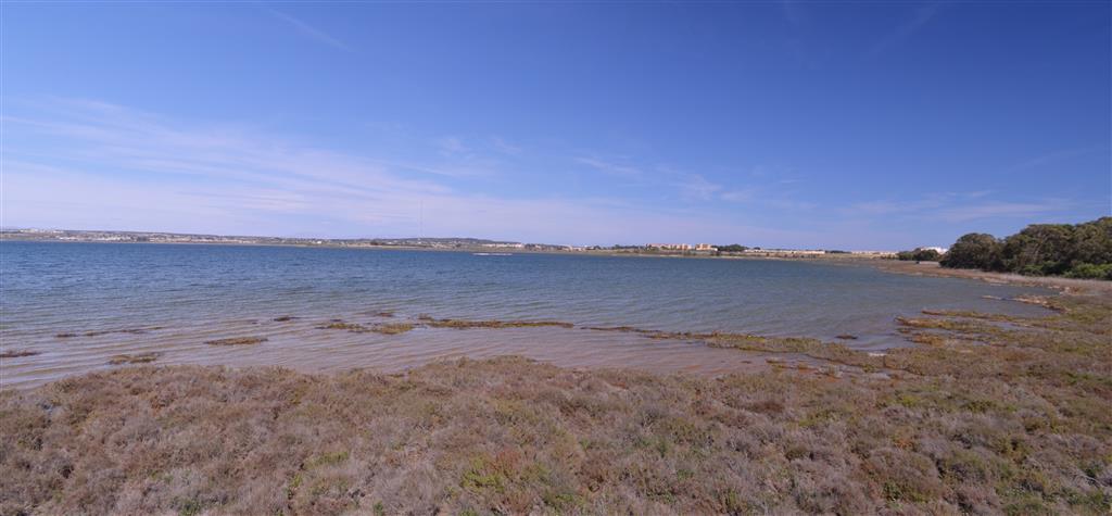 panorámica de la laguna de La Mata (margen meridional)