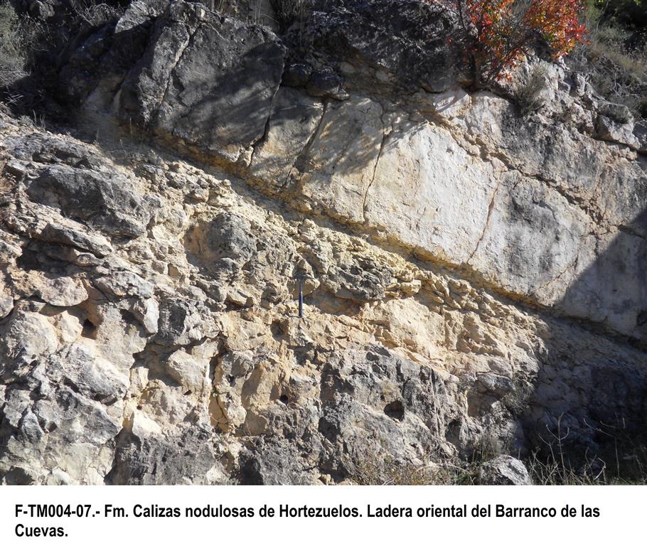 Fm. Calizas nodulosas de Hortezuelos. Ladera oriental del Barranco de las Cuevas.