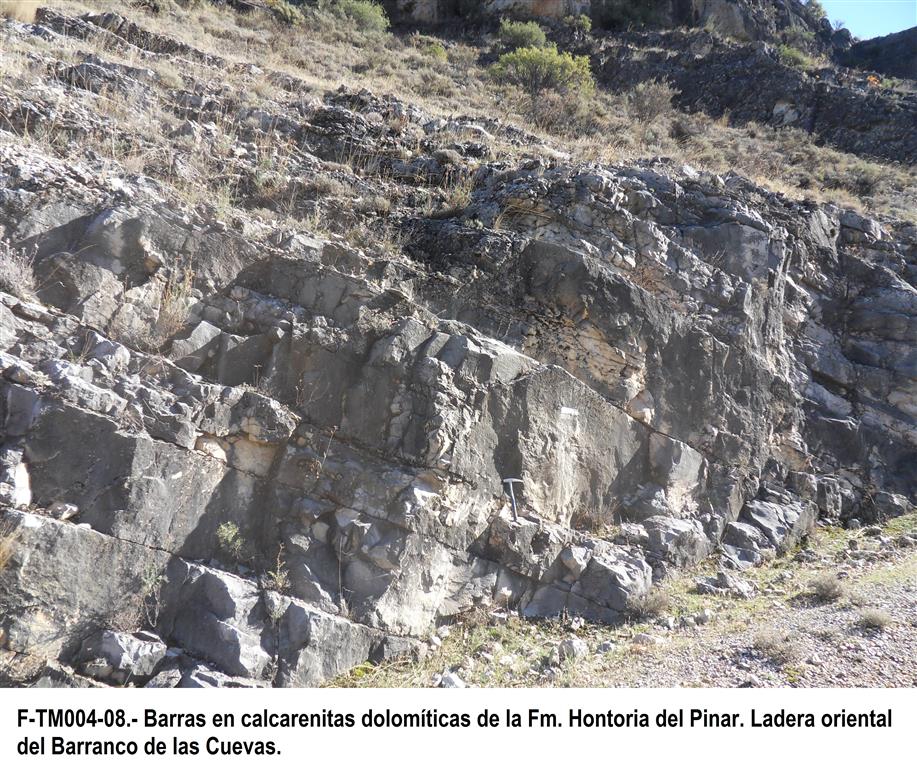 Barras en calcarenitas dolomíticas de la Fm. Hontoria del Pinar. Ladera oriental del Barranco de las Cuevas.