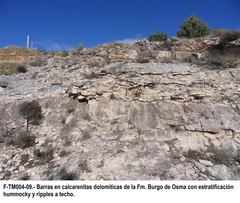 Barras en calcarenitas dolomíticas de la Fm. Burgo de Osma con estratificación hummocky y ripples a techo.