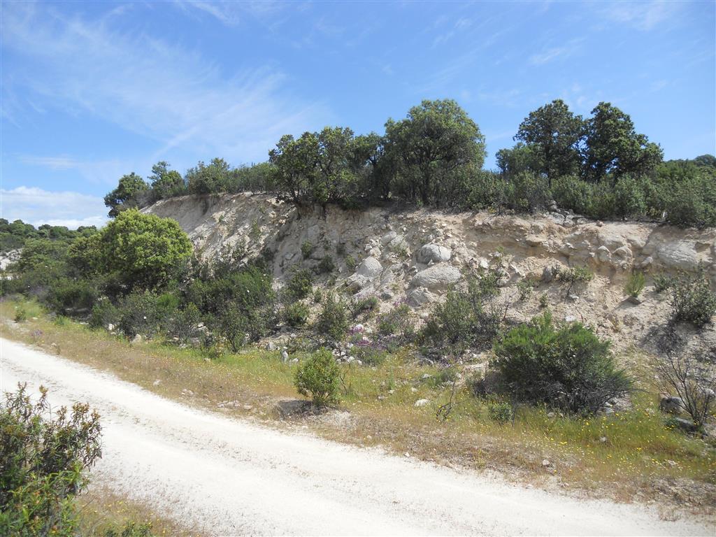 Facies de borde de  los materiales terciarios (Mioceno medio) afectados por el cabalgamiento. Pista de la Sacera.