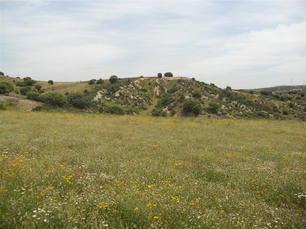Terciario (Aragoniense). Depósitos de arcosas al este del cerro La Marmota.