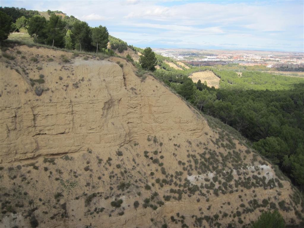 Alternancia de areniscas y lutitas (unidad intermedia del Mioceno)