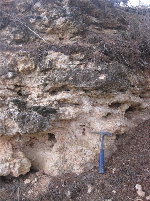 Carbonatos (unidad superior del Mioceno)