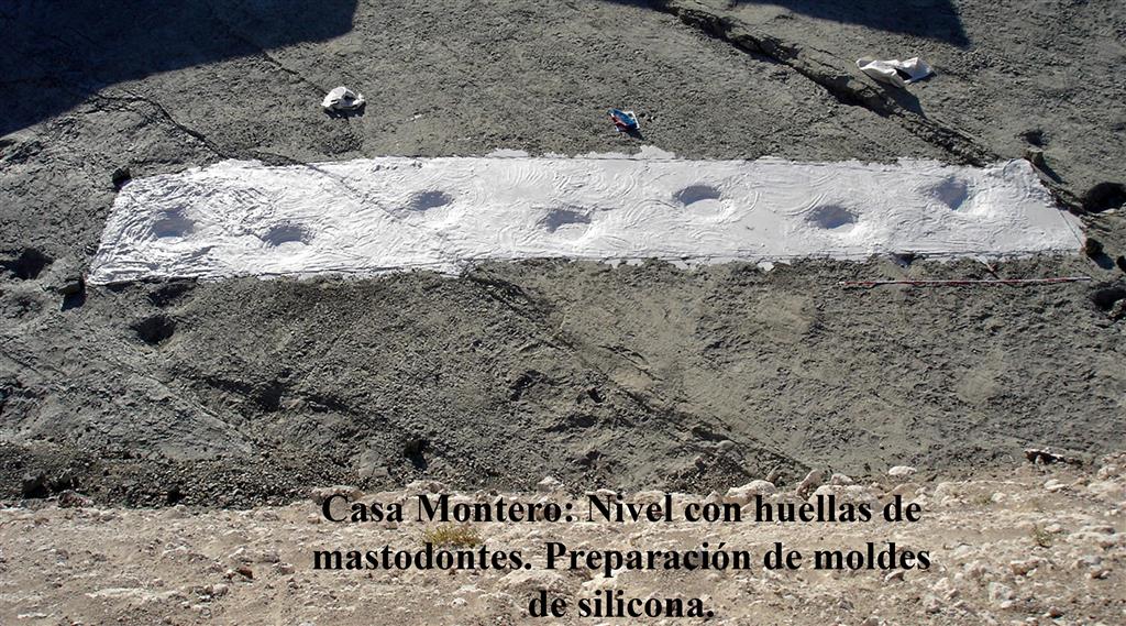Casa Montero. Nivel con huellas de mastodontes. Preparación de moldes de silicona