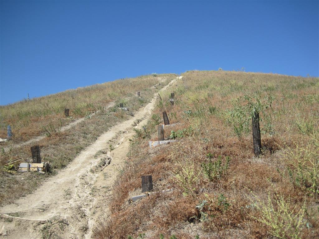Surco de erosión en la ladera oeste del Cerro Almodovar