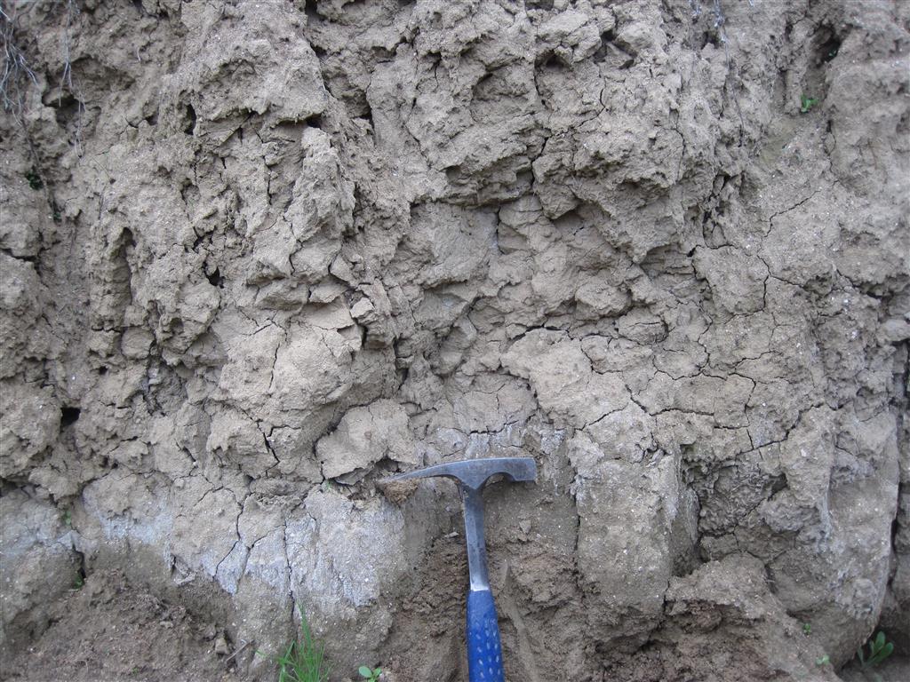 Margocalizas de aspecto masivo de la unidad intermedia del Mioceno (ladera suroeste del cerro)