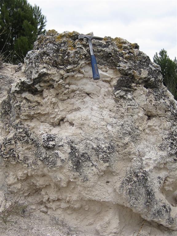 Carbonatos con silificación parcial de la unidad intermedia del Mioceno (cumbre del cerro)