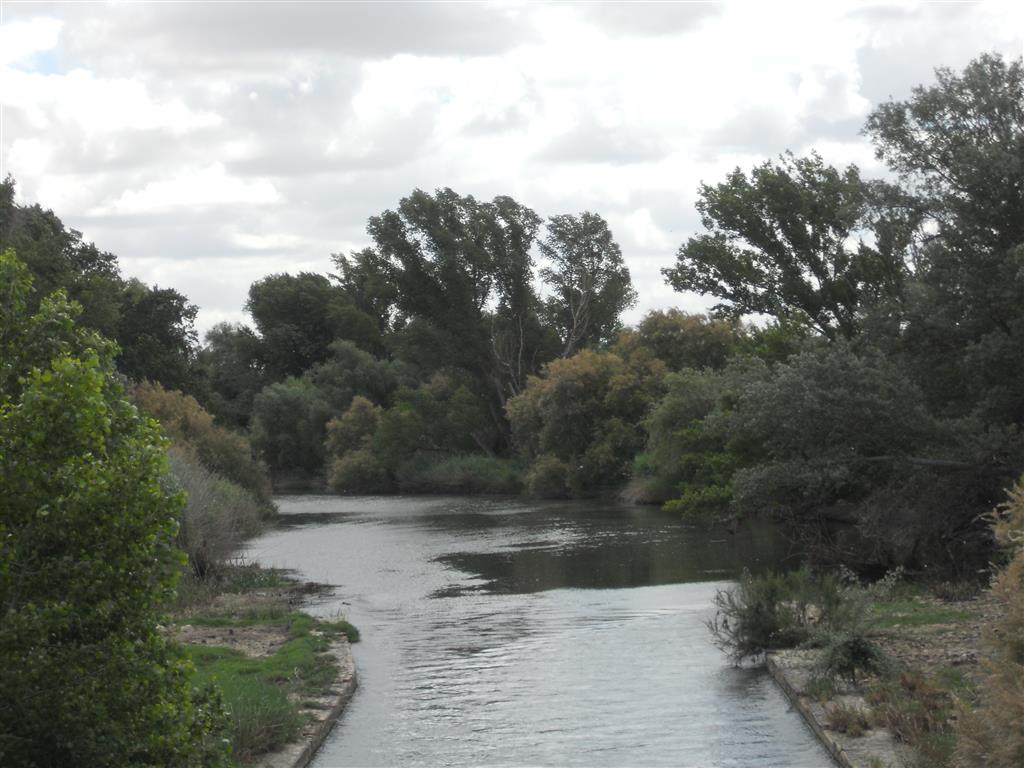 Curso actual del río Jarama a su paso por El Campillo
