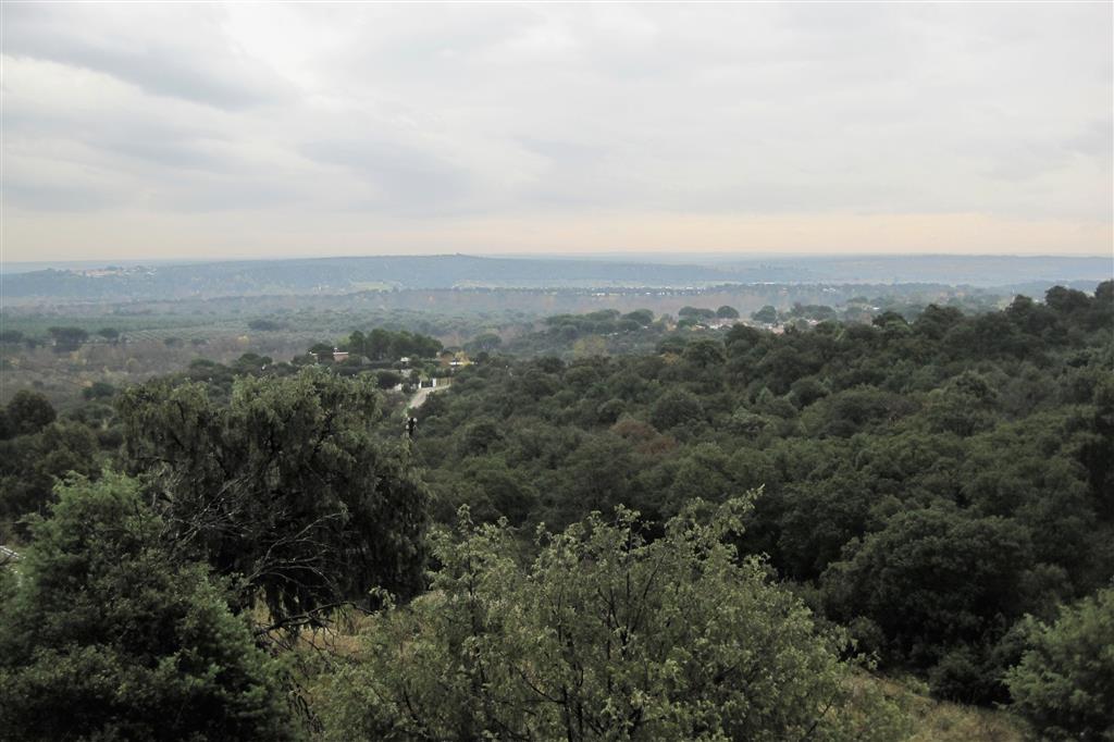 Vista del valle del Alberche desde el escarpe norte (desde la carretera M-951 hacia el sur)