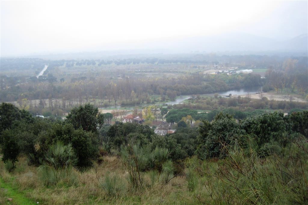 Vista del río Alberche y su valle desde el escarpe sur (vista desde la Urbanización María Elena).