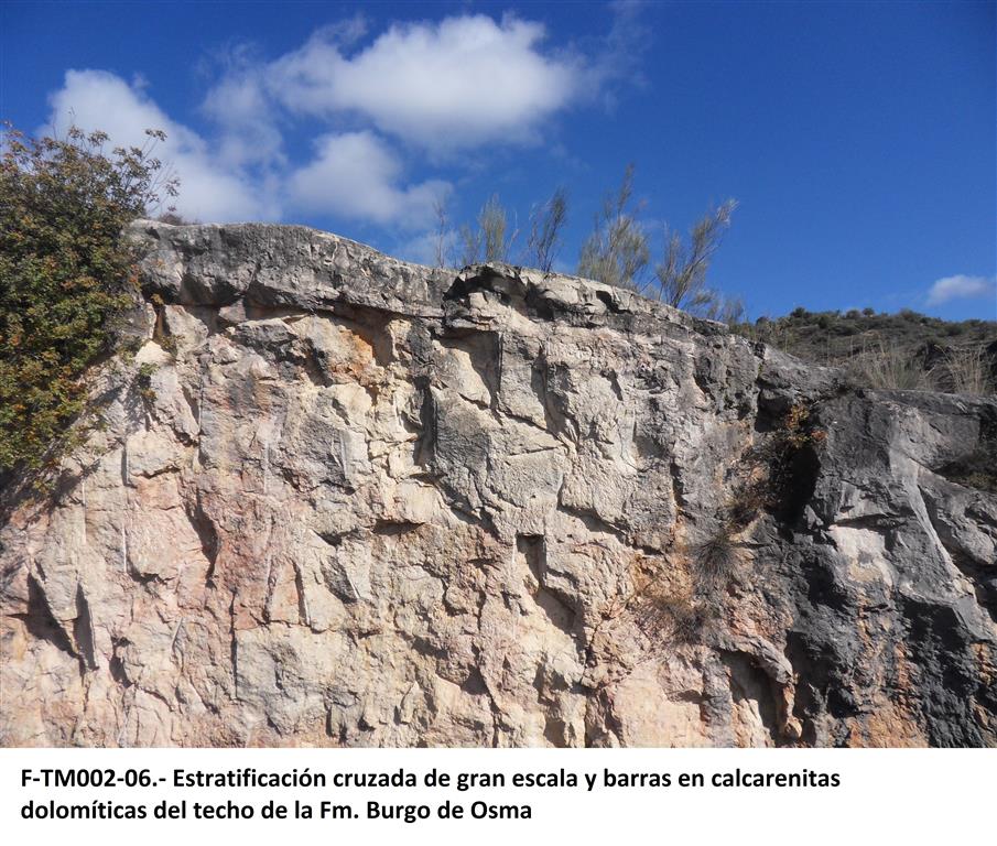 Estratificación cruzada de gran escala y barras en calcarenitas dolomíticas del techo de la Fm. Burgo de Osma.