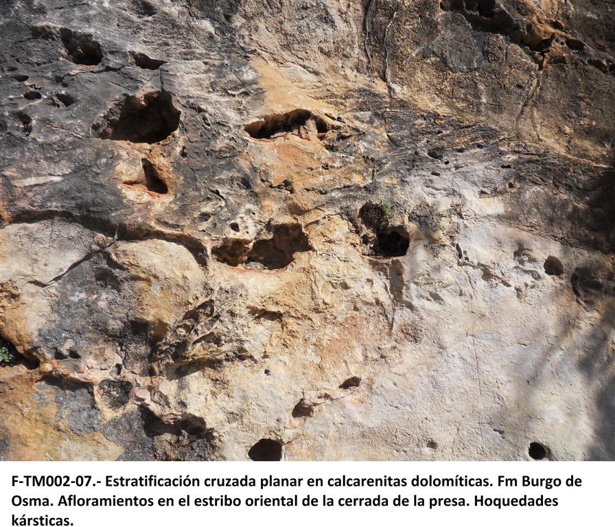 Estratificación cruzada planar en calcarenitas dolomíticas. Fm. Burgo de Osma. Afloramientos en el estribo oriental de la cerrada de la presa. Hoquedades kársticas.