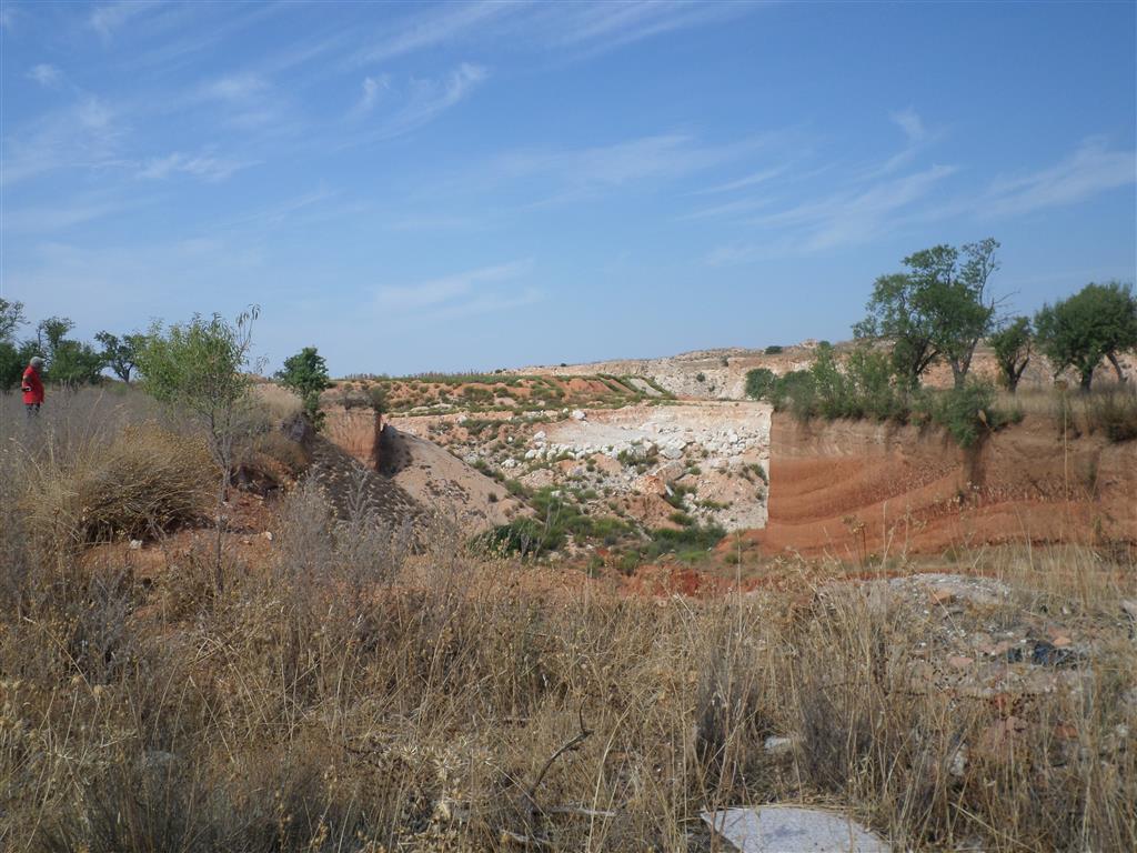 Panorámica donde se puede observar el litotecto de las Calizas de Colmenar y parte del afloramiento de los limos edáficos. Septiembre 2018.