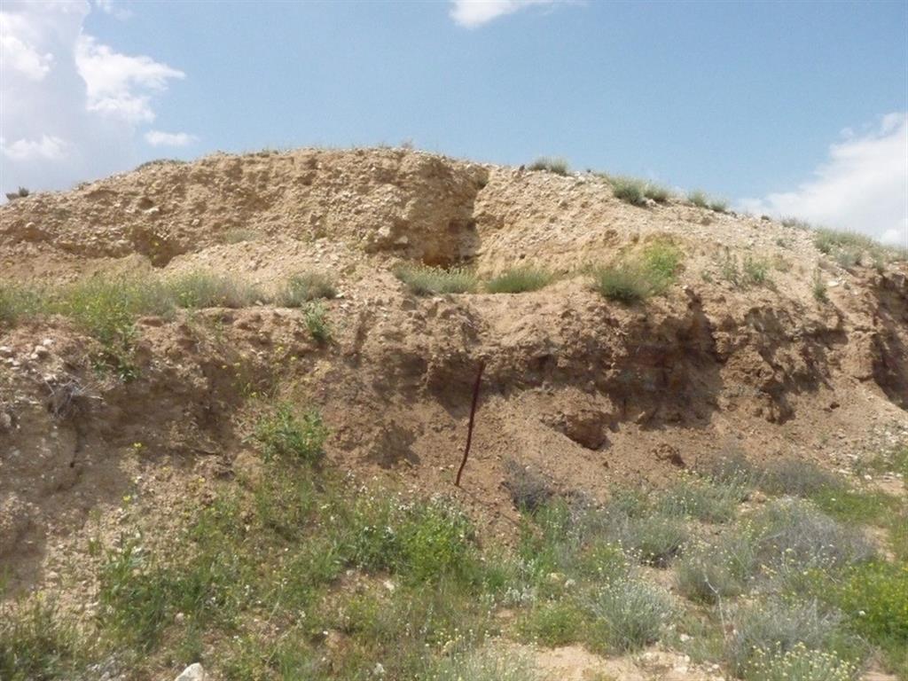 Corte que muestra el espesor (unos 4,5 m) del glacis detrítico (+60m). De Muro a Techo: Lutitas del Mioceno (facies Alcalá) y gravas (glacis).   