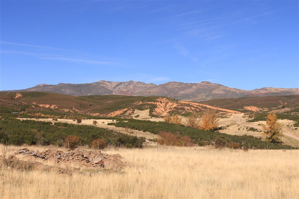 Depósitos miocenos del Abanico de Navas de Jadraque en las proximidades de esa población