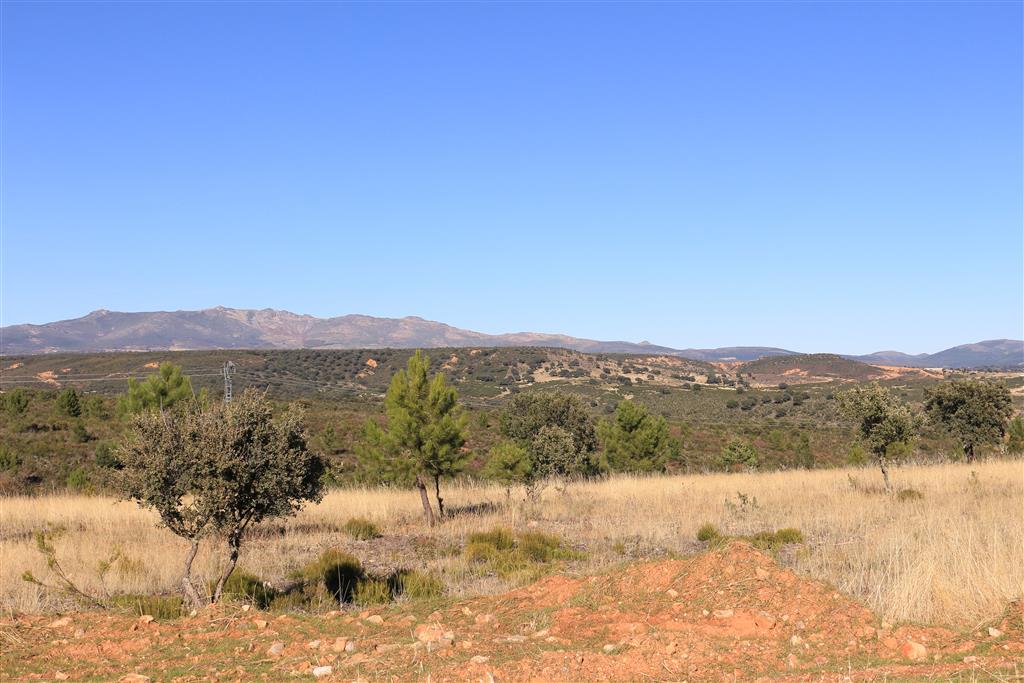 Vista general del abanico de Zarzuela de Jadraque