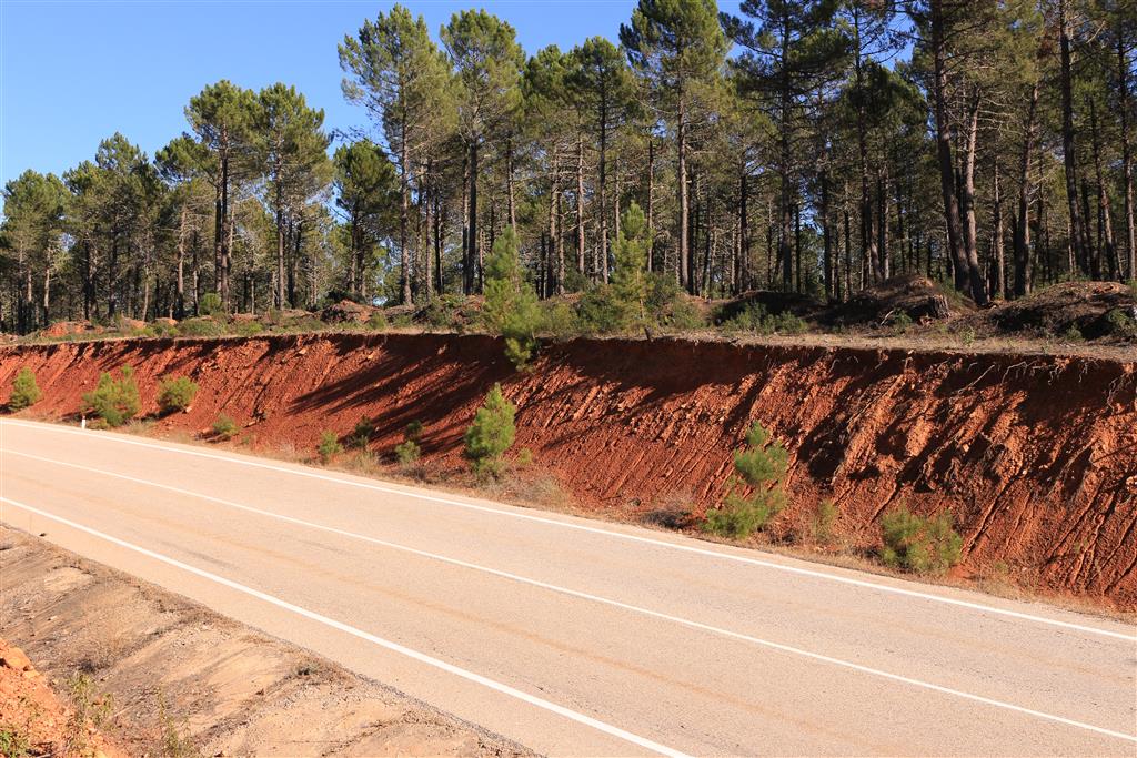 Afloramiento de los depósitos de techo del Abanico de Semillas.Carretera CM-1006, PK 5,8