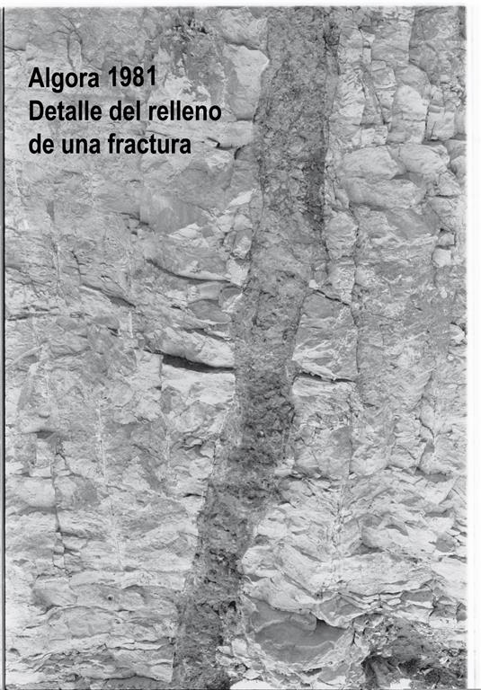 Algora 1981, detalle del relleno de una fractura.