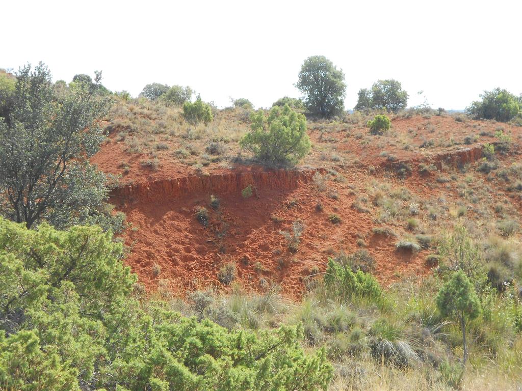 : Paleosuelo en zona distal del Abanico de Las Inviernas. Obsérvese que genera resalte morfológico.