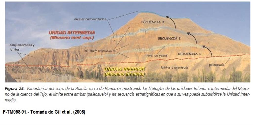 Panorámica del cerro de la Alarilla cerca de Humanes. Tomada de Gil et al. 2008