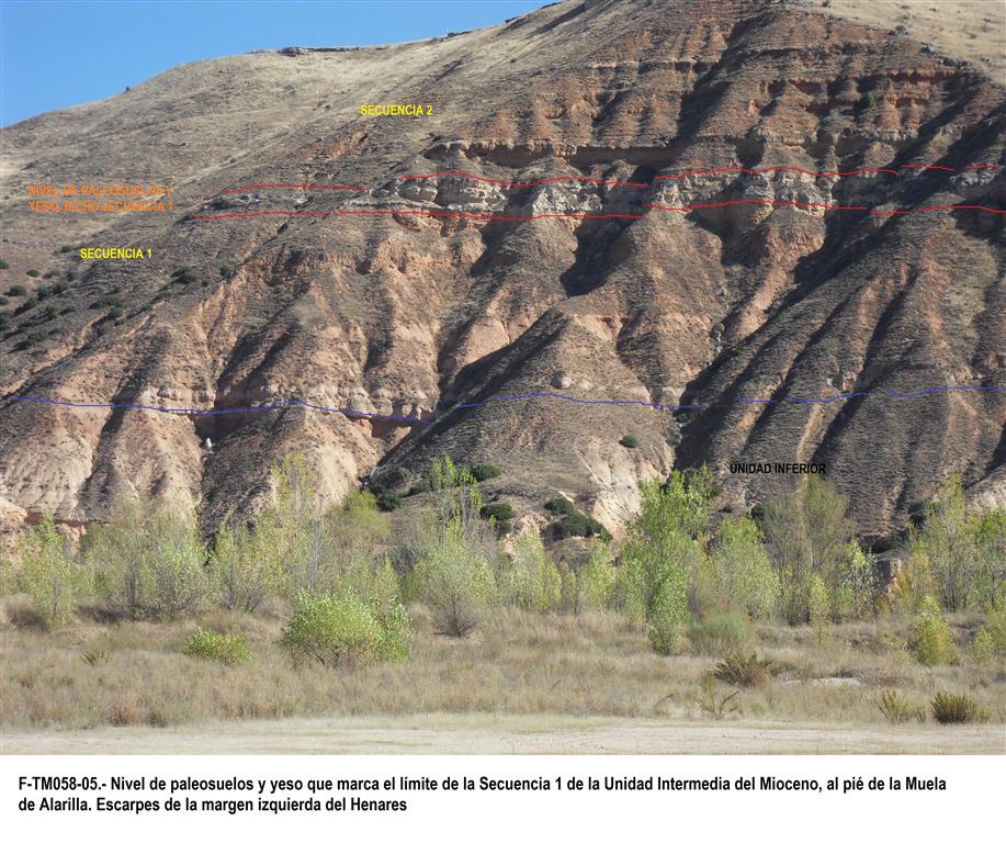 Nivel de paleosuelos y yeso que marca el límite de la Secuencia 1 de la Unidad Intermedia del Mioceno, al pie de la Muela de Alarilla. Escarpes de la margen izquierda del Henares.