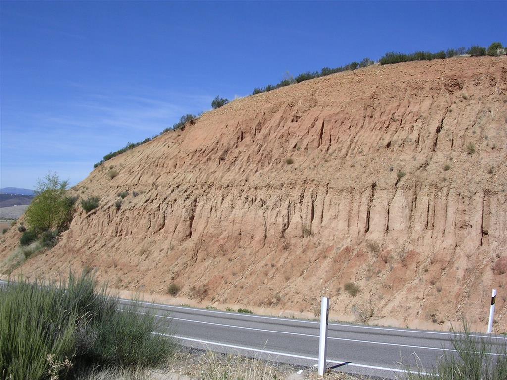 Afloramientos del Mioceno superior en el LIG