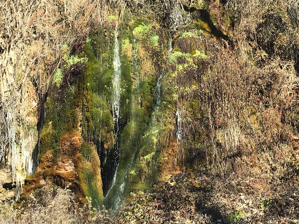Cascada con formación de tobas. Cívitas  24 de enero de 2017