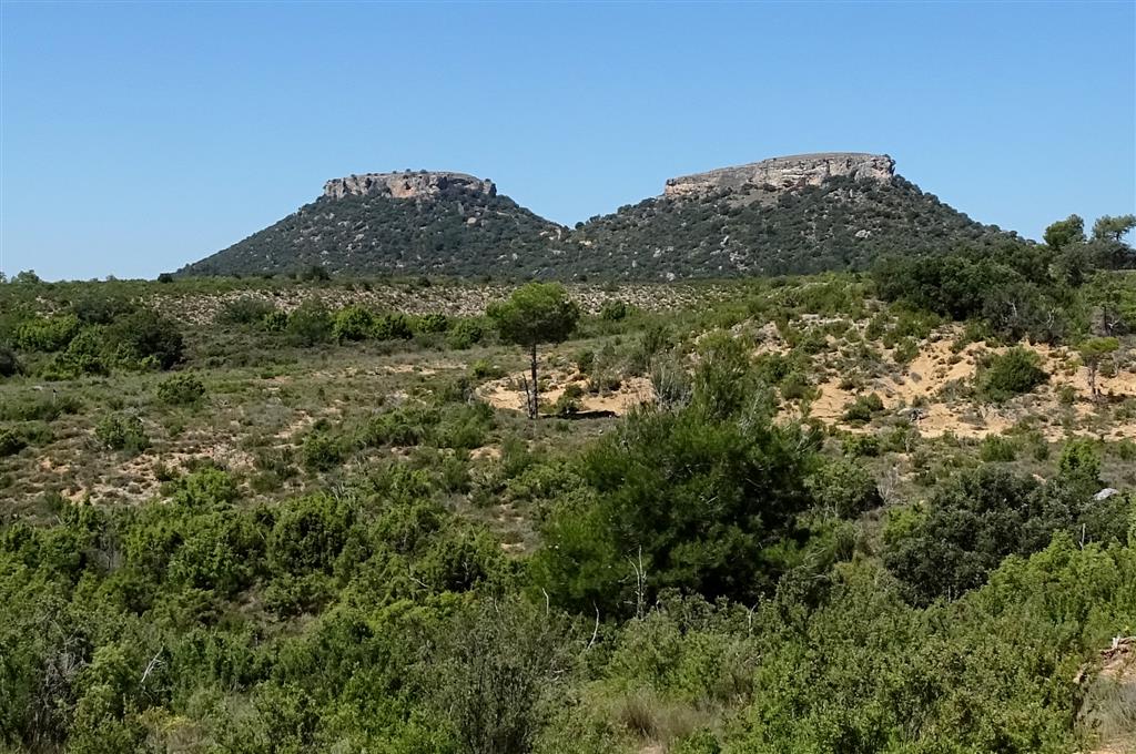 Vista panorámica de los cerros testigo de las Tetas de Viana desde el este