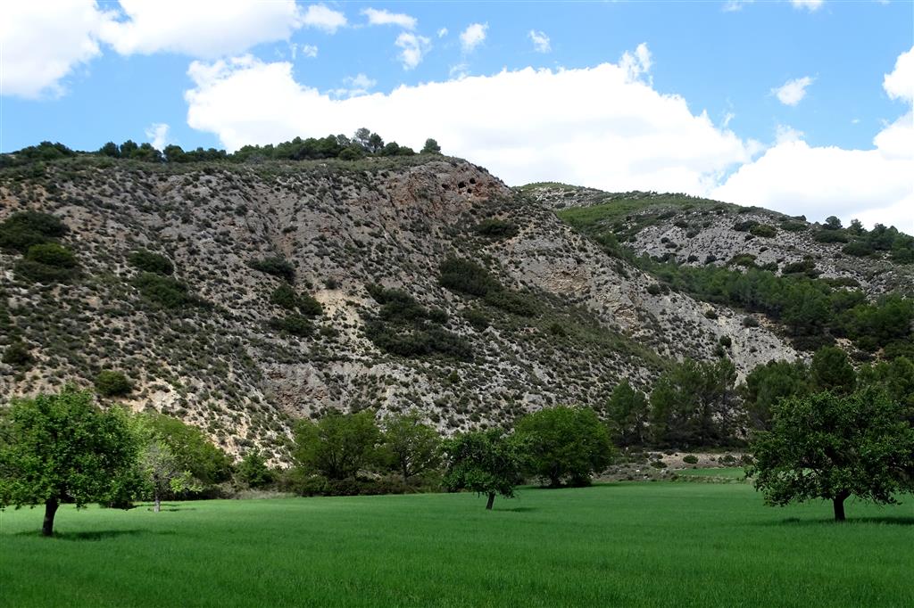 Yesos de la Fm Villalba de la Sierra (Campaniense-Eoceno medio), constituyentes del núcleo del anticlinal, en el paraje de Ompolveda
