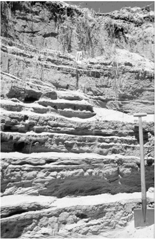 Afloramiento de los depósitos donde se levantó una columna estratigráfica, Benito et al (2003)