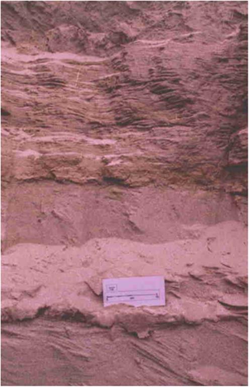 Niveles y estructuras sedimentarias en los depósitos donde se levantó una columna estratigráfica (año 1996)