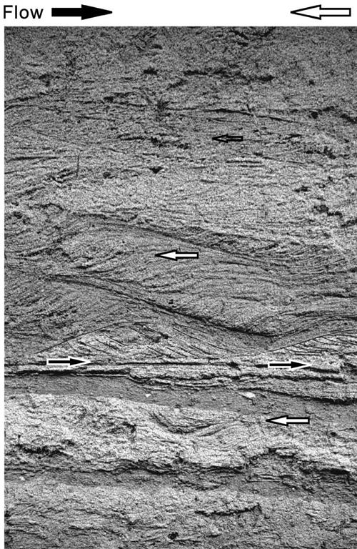 Lámina de réplica (laquer peel) de los depósitos de paleoinundación con estructuras sedimentarias, Benito et al (2003)