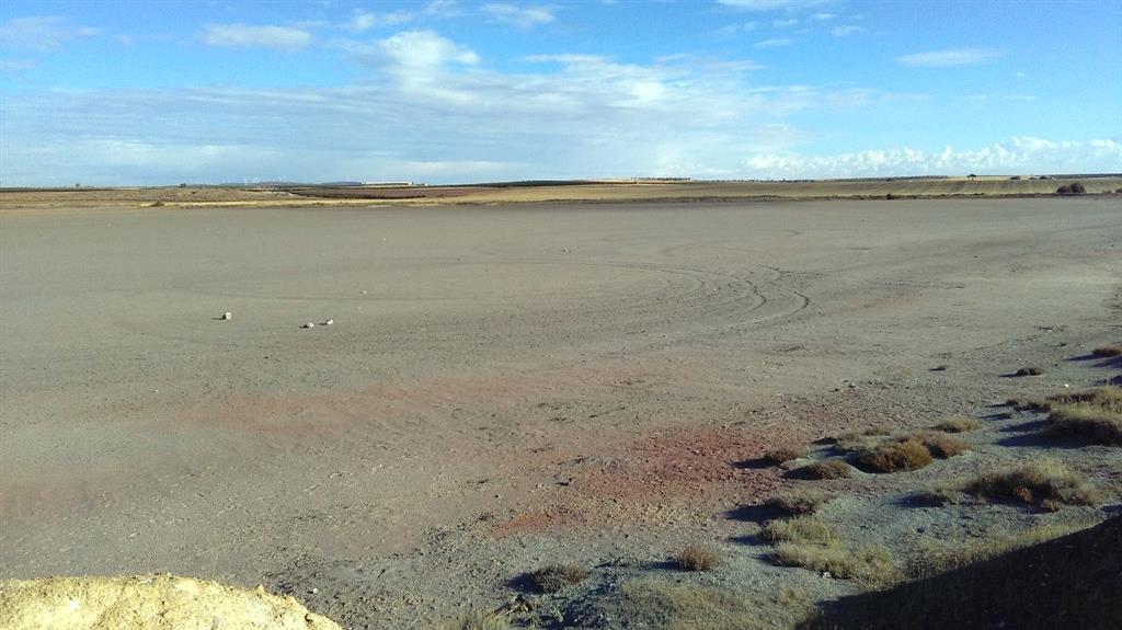 Vaso de la Laguna de Tírez a 13-9-2016. Sector septentrional del humedal