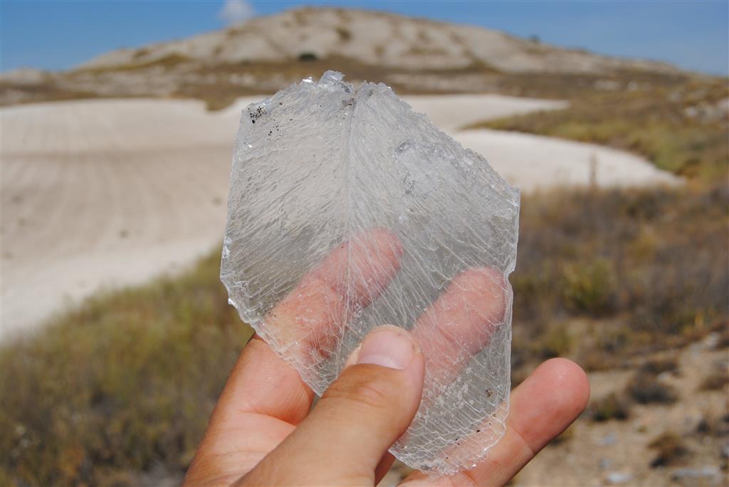 Cristal de yeso especular transparente (Cabeza Gorda, Moncalvillo)