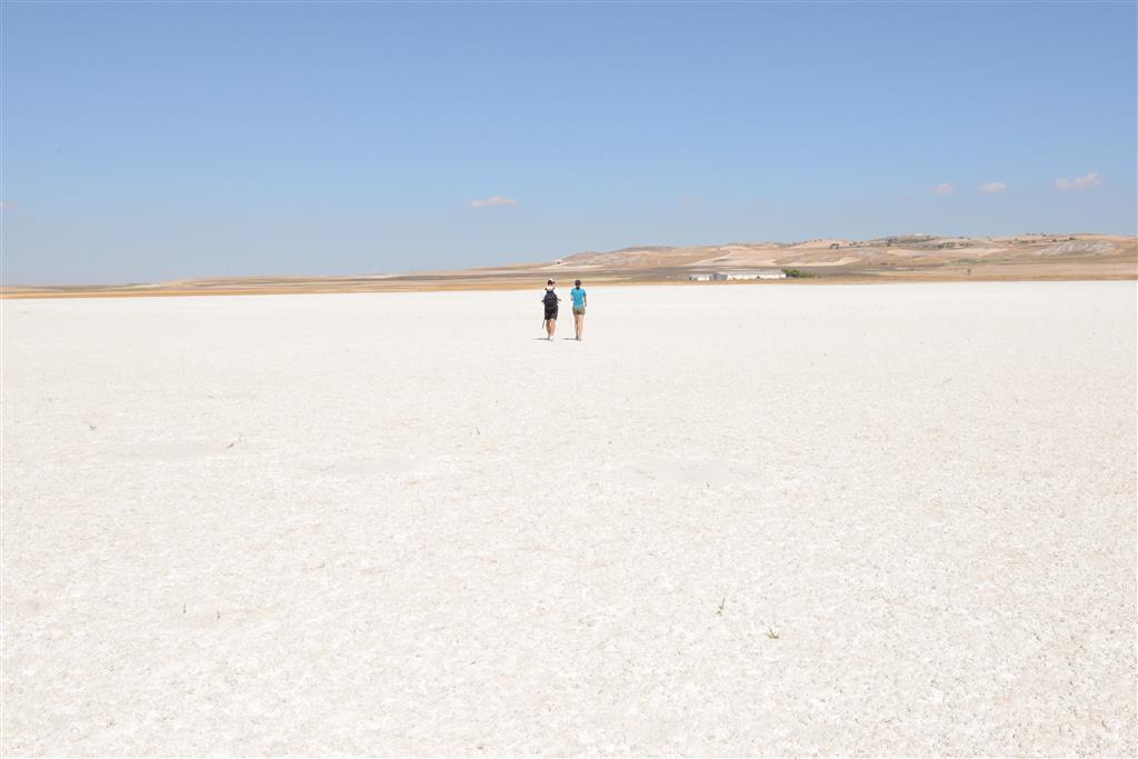 Laguna en época seca con acumulación de sal