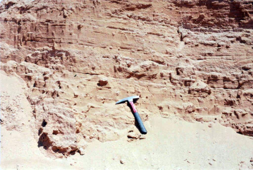 Estratificación cruzada de gran escala en la antigua explotación del Pozo de la Arena. Se observan las superficies de reactivación (foto de 1992)