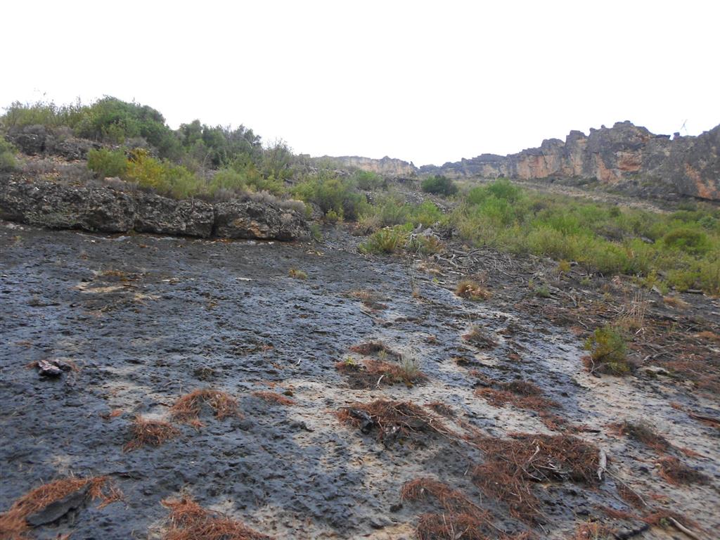 Detalle de la superficie de despegue de un deslizamiento relativamente antiguo mencionada en la Foto anterior