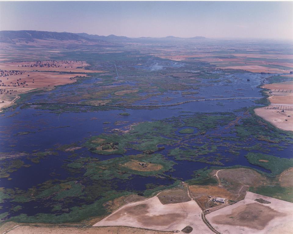 Figura 1 - Panorámica de Las Tablas de Daimiel con los Montes de Toledo al fondo. Confluencia de los ríos Cigüela y Guadiana. Foto aérea de 1998.