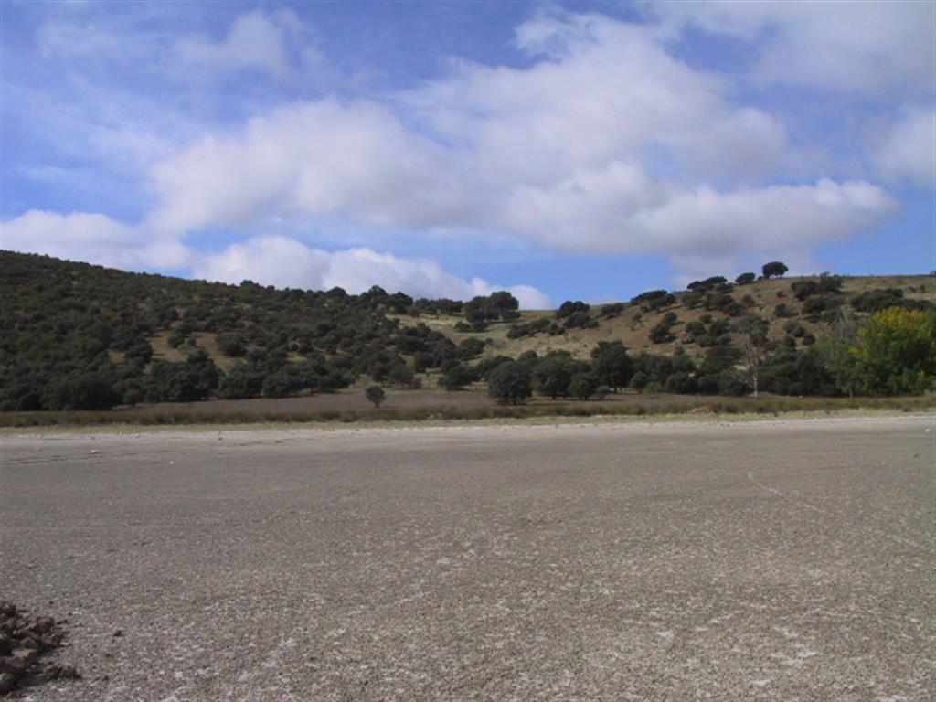 Fondo de la laguna estacional en el cráter del maar en época seca. Año 2002