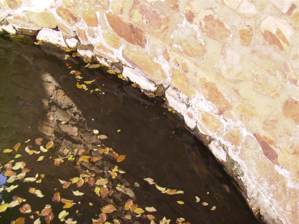 Detalle de la pila de baños donde se puede apreciar, en el borde superior derecho del agua, el burbujeo producido por las emanaciones de anhídrido carbónico (foto A. García-Cortés)