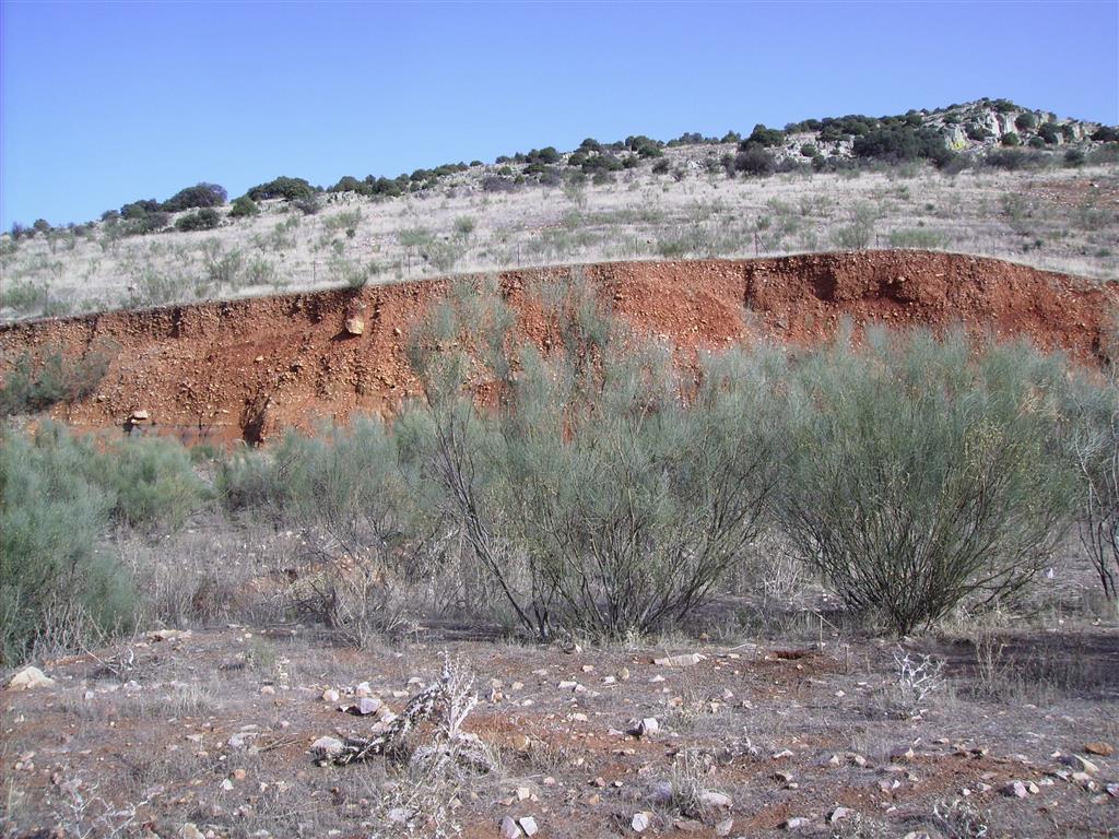 Coluvión cuaternario situado por encima de los detríticos cenozoicos mineralizados (Foto: Á. García-Cortés)