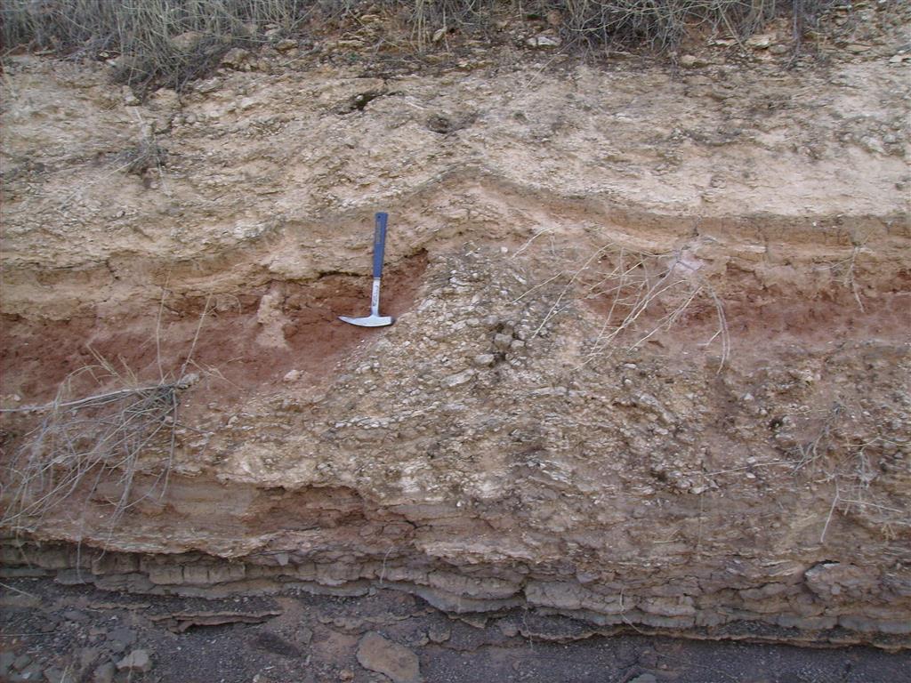 Detalle de una estructura en “champiñón” de deformación por la licuefacción de los niveles de arenas saturadas de agua. 