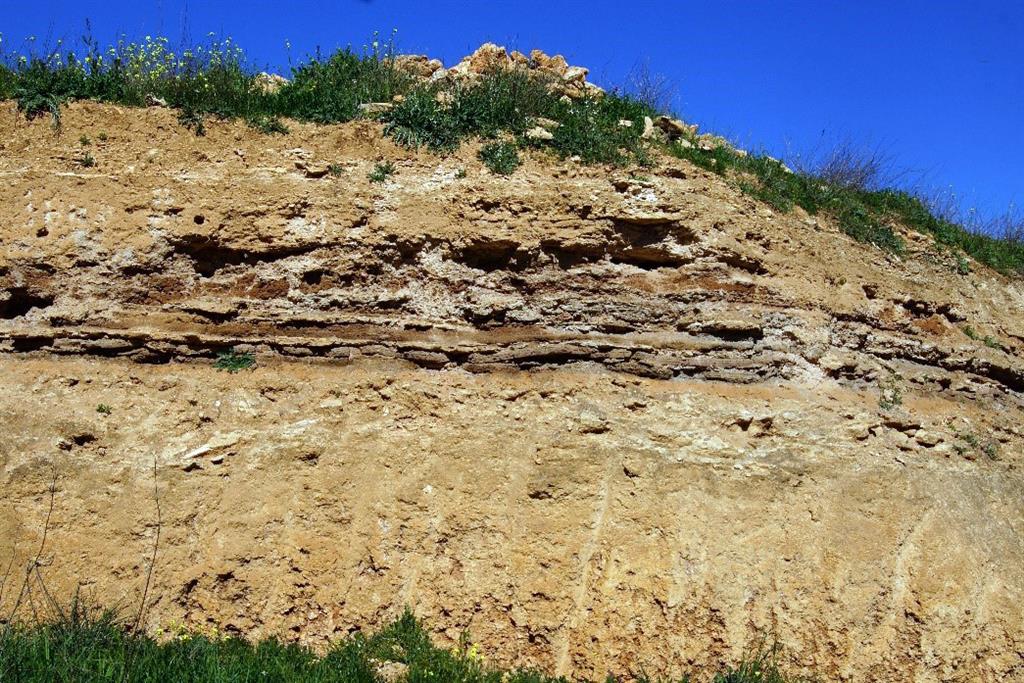 Niveles de cenizas (arenas) freatomagmaticas en las que se producen, por saturación de agua, la licuefacción por la vibración sísmica y originan la paleosismitas.
