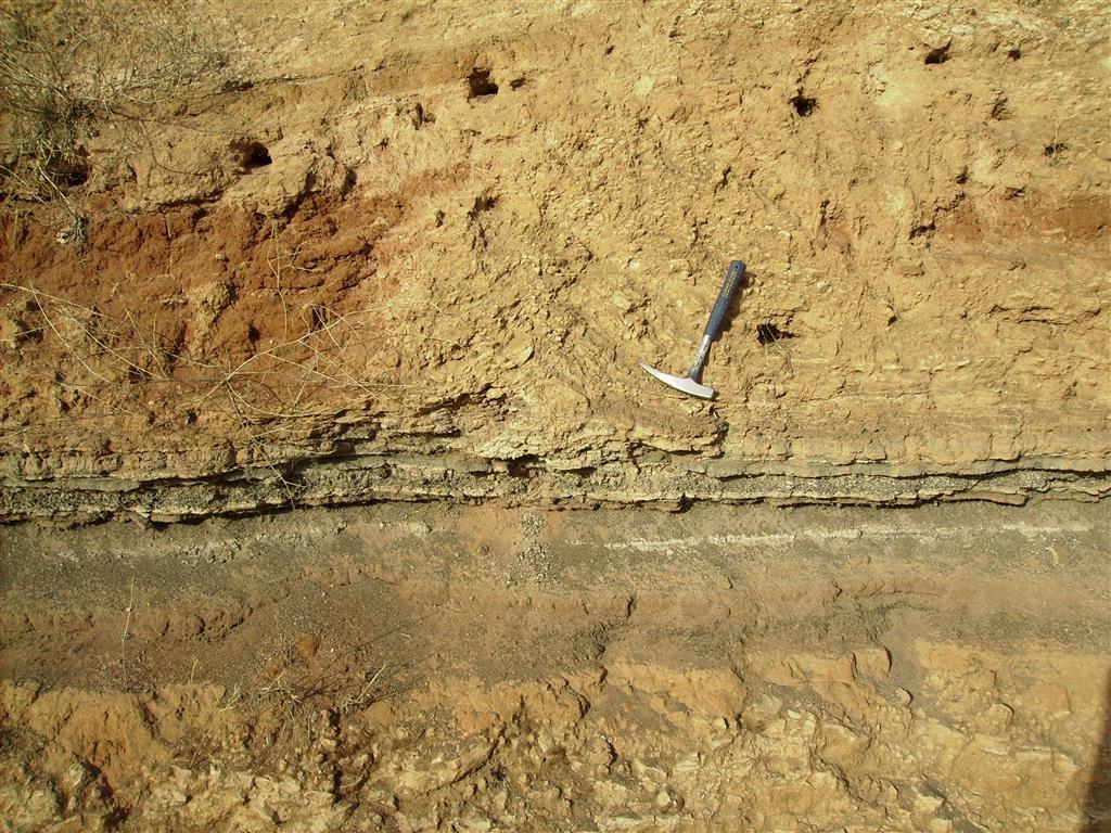 Detalle de otra estructura en “champiñón” de deformación por la licuefacción de los niveles de arenas saturadas de agua.