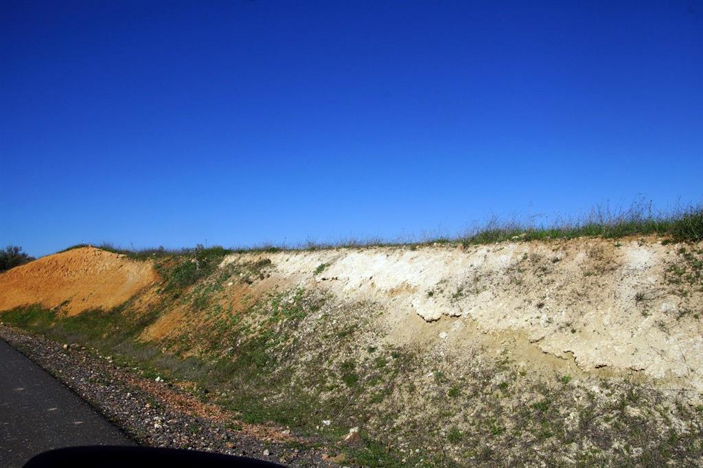 Nivel de cenizas volcánicas de la base del Maar de Casa Blanca o Vegas de Castellanos en el talud de la carretera CM413, pk 18.