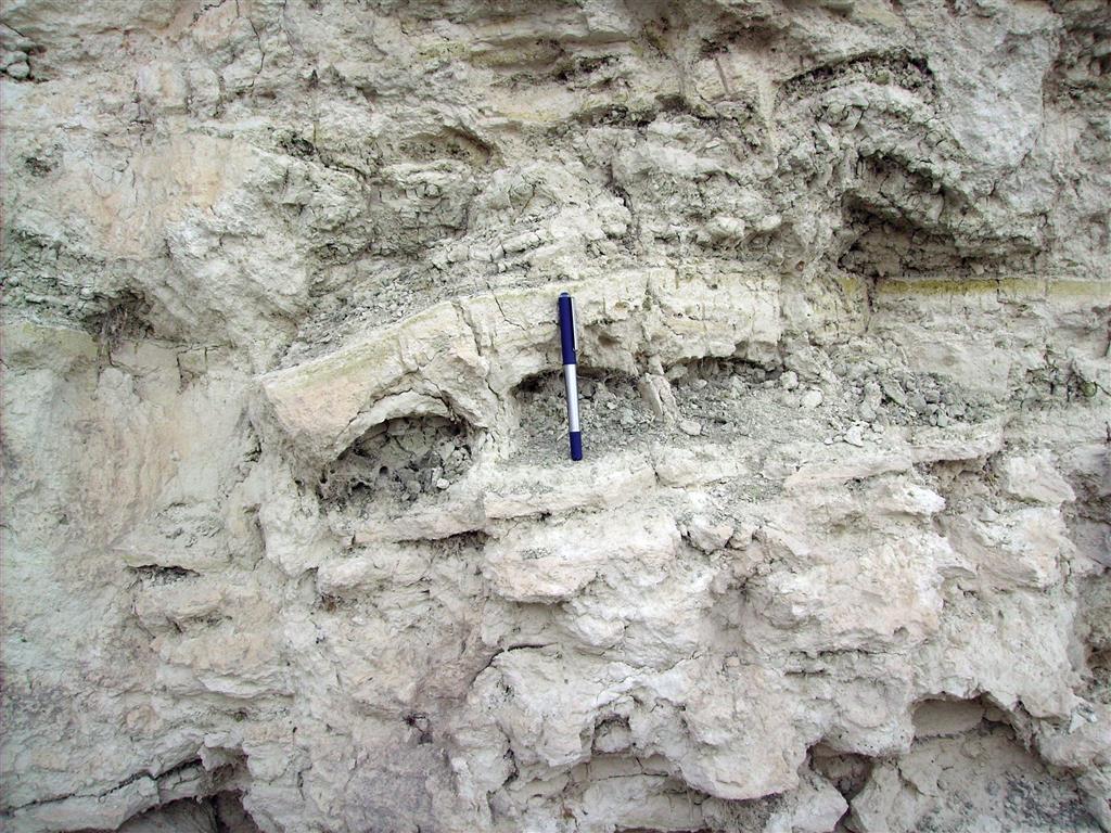 Detalle de las deformaciones en el relleno carbonático del maar (Foto: Á. García-Cortés)